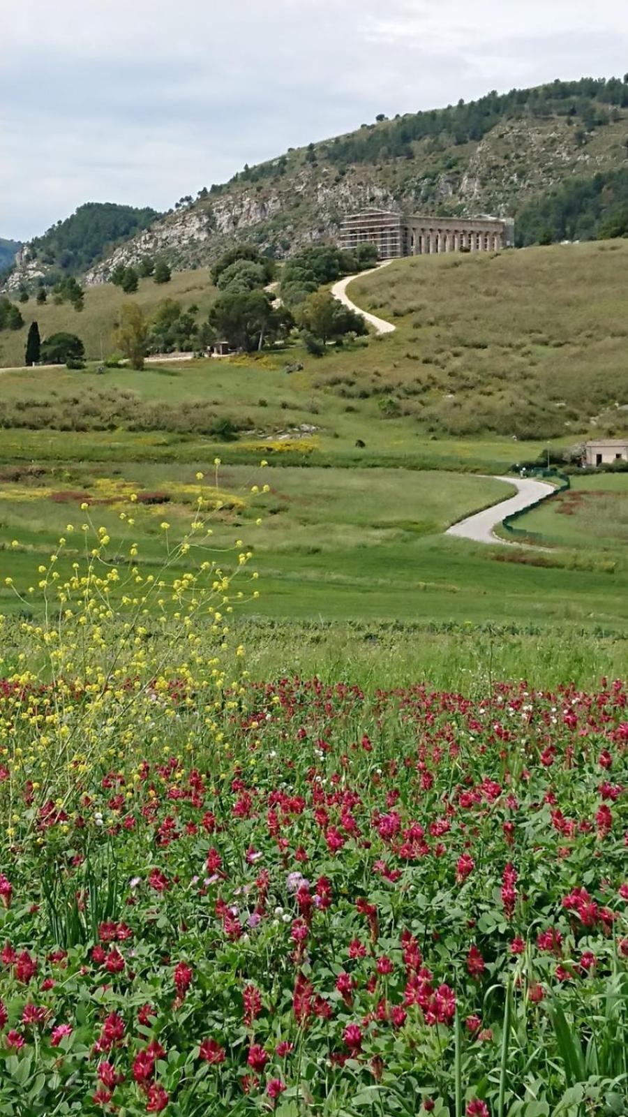 Helimos Bed&Breakfast Segesta Temple-Castellammare Calatafimi Exterior foto
